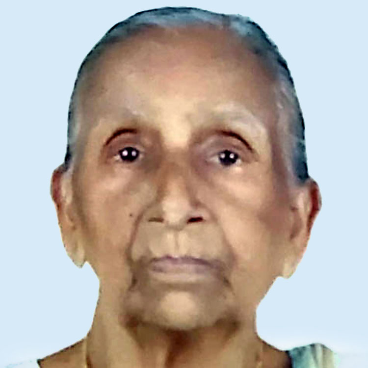 നാ​രാ​യ​ണി