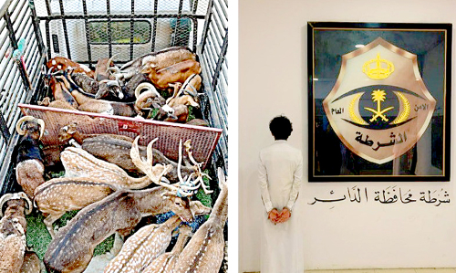 അനധികൃത മാൻ കടത്ത്​: യമനി അറസ്​റ്റിൽ