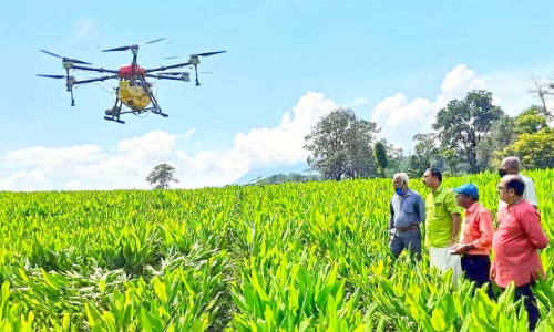 ഡ്രോൺ ഉപയോഗിച്ച് വളപ്രയോഗം;  ഒ​രേ​ക്ക​ർ കൃ​ഷി​ക്ക് വേ​ണ്ടി​വ​ന്ന​ത് അ​ഞ്ച് മി​നി​റ്റ് മാ​ത്രം