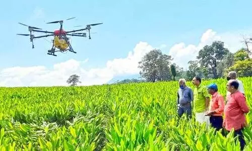 ഡ്രോൺ ഉപയോഗിച്ച് വളപ്രയോഗം;  ഒ​രേ​ക്ക​ർ കൃ​ഷി​ക്ക് വേ​ണ്ടി​വ​ന്ന​ത് അ​ഞ്ച് മി​നി​റ്റ് മാ​ത്രം