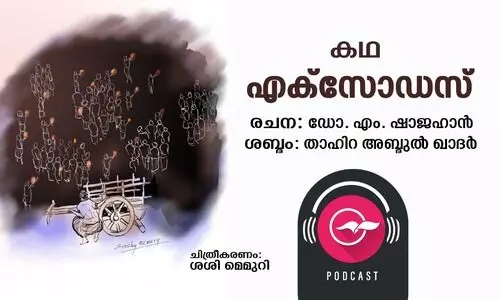 എക്​സോഡസ്​ -കഥ