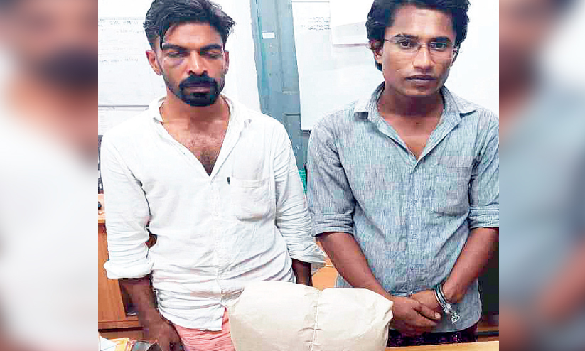 മൂന്നുകിലോ കഞ്ചാവുമായി രണ്ടുപേർ അറസ്റ്റിൽ മൂന്നുകിലോ കഞ്ചാവുമായി രണ്ടുപേർ അറസ്റ്റിൽ