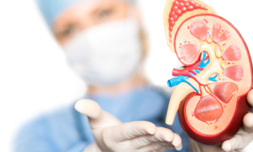 വൃക്ക മാറ്റിെവക്കൽ; അമേരിക്കൻ സന്നദ്ധ സംഘടനയുമായി യു.എ.ഇ. ധാരണ വൃക്ക മാറ്റിെവക്കൽ; അമേരിക്കൻ സന്നദ്ധ സംഘടനയുമായി യു.എ.ഇ. ധാരണ