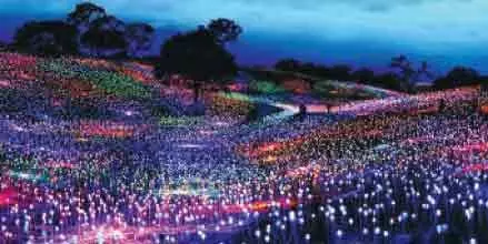 60,000 ചെ​റു​ലൈ​റ്റു​കൾ; പാ​ല​ക്ക​യം​ത​ട്ട് ഇ​നി മ​ഴ​വി​ല്ല​ഴ​കി​ൽ മി​ന്നി​ത്തി​ള​ങ്ങും