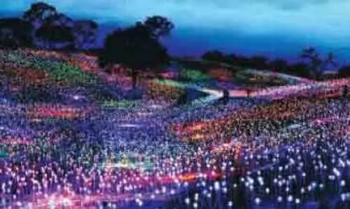 60,000 ചെ​റു​ലൈ​റ്റു​കൾ; പാ​ല​ക്ക​യം​ത​ട്ട് ഇ​നി മ​ഴ​വി​ല്ല​ഴ​കി​ൽ മി​ന്നി​ത്തി​ള​ങ്ങും