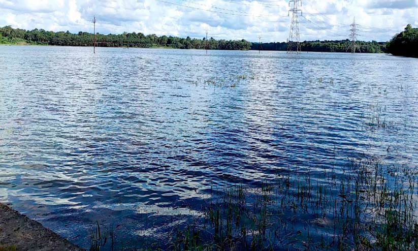 പെരുവേലിൽച്ചാൽ പുഞ്ചയിൽ വെള്ളം കയറി; ദുരിതത്തിൽ കർഷകർ