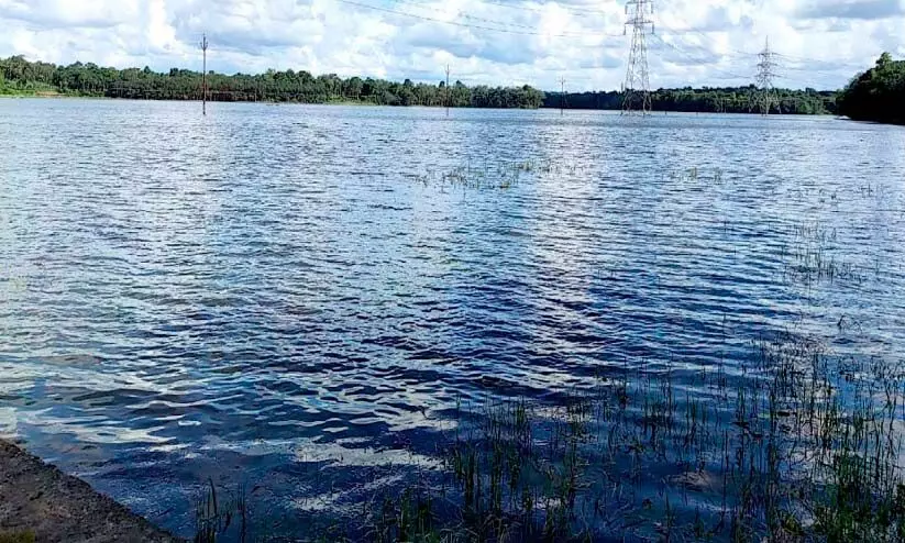 പെരുവേലിൽച്ചാൽ പുഞ്ചയിൽ വെള്ളം കയറി; ദുരിതത്തിൽ കർഷകർ