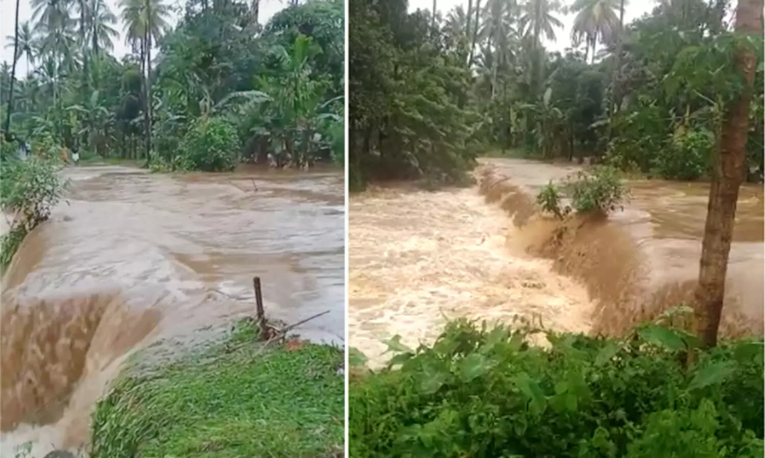 ആറളം വനത്തിൽ ഉരുൾപ്പൊട്ടി; ഫാമിനുള്ളിലെ പാലങ്ങൾ വെള്ളത്തിൽ