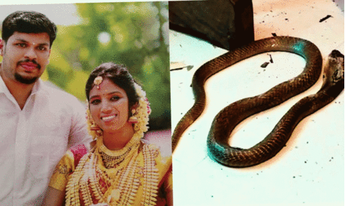 മൂ​ർ​ഖ​ൻ പാ​മ്പി​നെ കൊ​ണ്ട് ക​ടി​പ്പി​ച്ച്​ കൊ​ല​പ്പെ​ടു​ത്തി​യ അ​പൂ​ർ​വ​ കേസ്​; ഉത്ര വധക്കേസിൽ വിധി ഇന്ന്