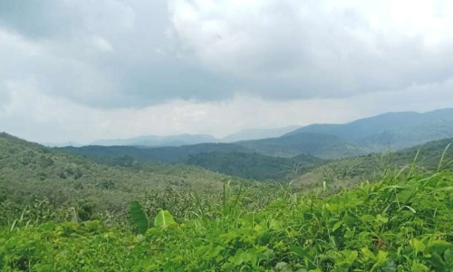 ഭൂപടത്തിൽ ഒരറ്റത്തായതാണോ കാസർകോടിന്‍റെ കുറ്റം? എയിംസ്​ തുടങ്ങാൻ​ ഭൂമിയുണ്ട്, അതും സർക്കാർ വക