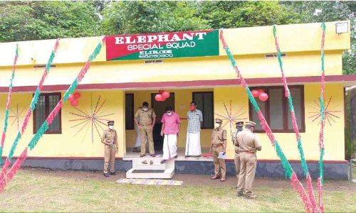 എ​ലി​ഫെൻറ്​ സ്പെ​ഷ​ല്‍ സ്‌​ക്വാ​ഡ്​ പ്ര​വ​ര്‍ത്ത​ന​മാ​രം​ഭി​ച്ചു