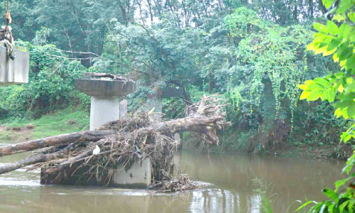 വർഷം അഞ്ച് പിന്നിട്ടു, മൂന്നു തൂണുകളിൽ ഒതുങ്ങി ചിറ്റൂർ കടവ് പാലം നിർമാണം