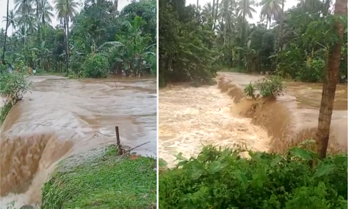 ആറളം വനത്തിൽ ഉരുൾപ്പൊട്ടി; ഫാമിനുള്ളിലെ പാലങ്ങൾ വെള്ളത്തിൽ ആറളം വനത്തിൽ ഉരുൾപ്പൊട്ടി; ഫാമിനുള്ളിലെ പാലങ്ങൾ വെള്ളത്തിൽ