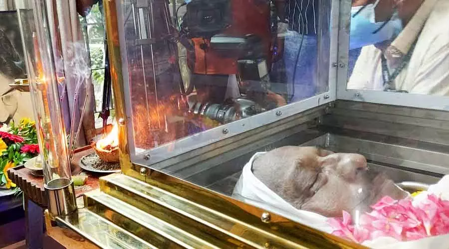 തമ്പി​ലെ സ്വീകരണമുറിയിലേക്കെത്തി, ​നിശ്ചലനായി