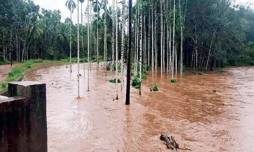 kalikavu ...rain