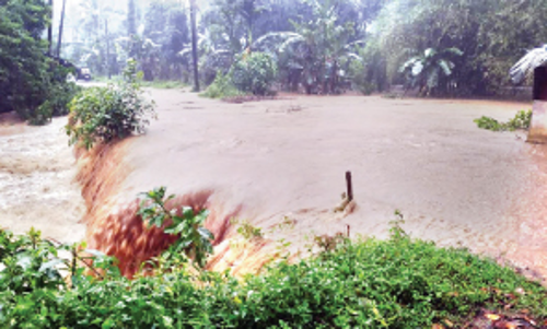 ആറളം വനത്തിൽ ഉരുൾപൊട്ടി; ഫാമിനുള്ളിലെ പാലങ്ങൾ വെള്ളത്തിലായി