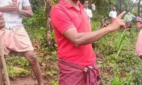 വിളകളെല്ലാം നശിപ്പിച്ചു; ഒടുവിൽ കർഷക മണ്ണിൽ അന്ത്യം