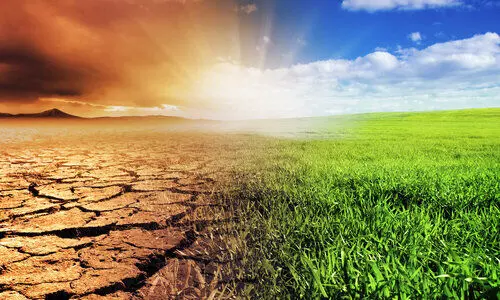 കാലാവസ്ഥ വ്യതിയാനം അതിജീവിക്കാൻ നിക്ര പദ്ധതി: അഞ്ച് ജില്ലകളിൽ നടപ്പാക്കും