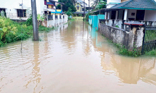 കനത്ത മഴയിൽ പാലക്കാട്ടും നാശം
