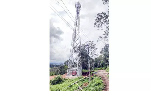 മരിയാപുരത്ത്​ പുതിയ ടവർ വന്നു;  നാട്ടുകാരുടെ വെളിച്ചംപോയി