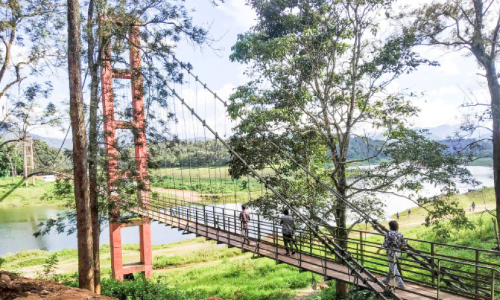 അയ്യപ്പൻകോവിൽ തൂക്കുപാലത്തിൽ പാസ്​; എതിർപ്പുമായി കെ.എസ്​.ഇ.ബിയും വനംവകുപ്പും