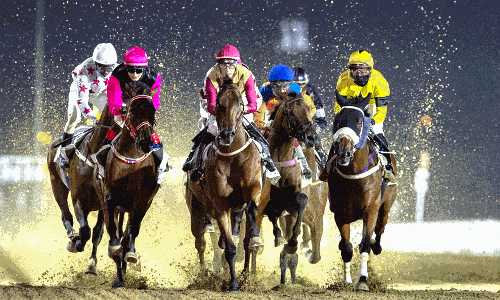 ഇനി കുതിര​യോട്ട പോരാട്ടം