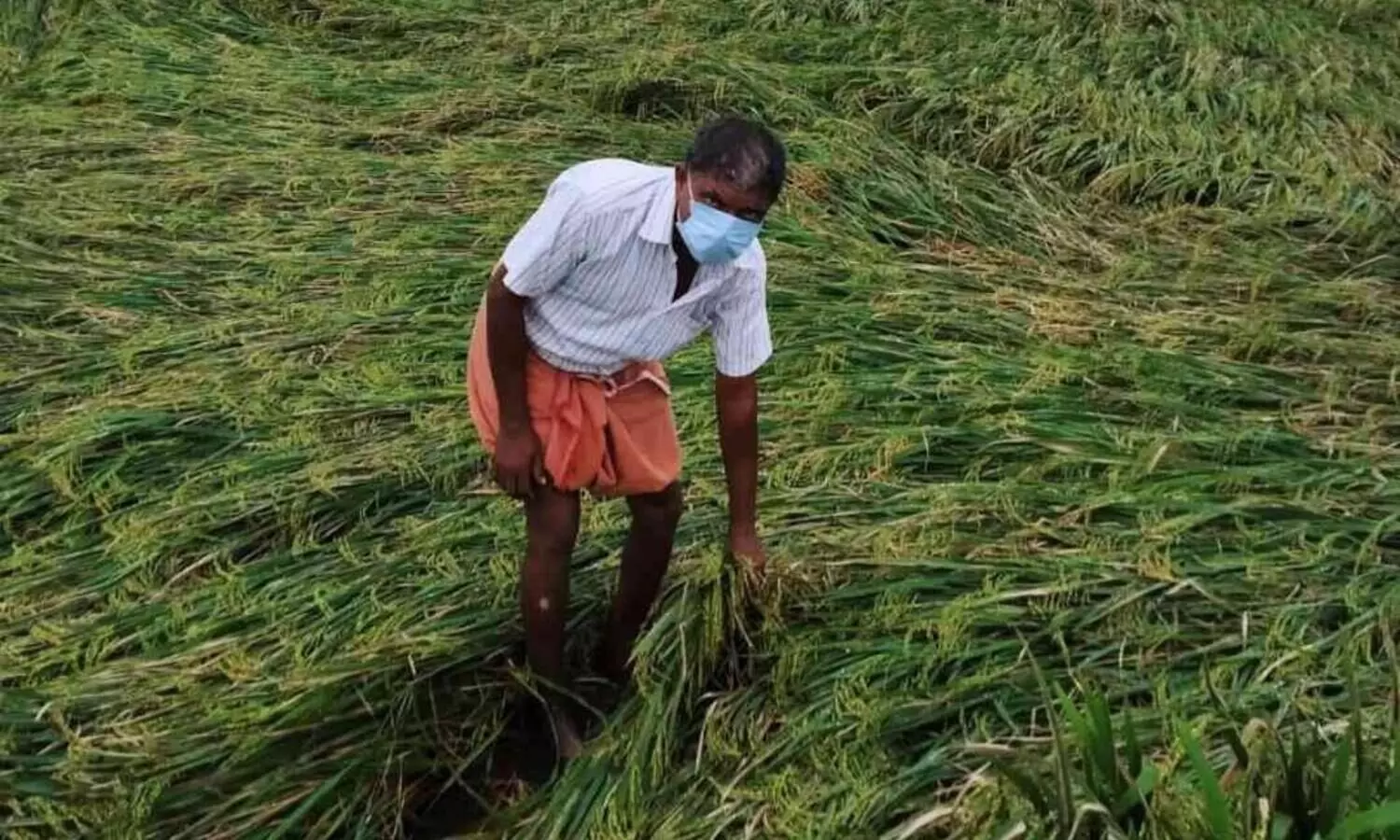 കനത്ത മഴയുടെ ദുരിതം പേറി അപ്പർ കുട്ടനാട്