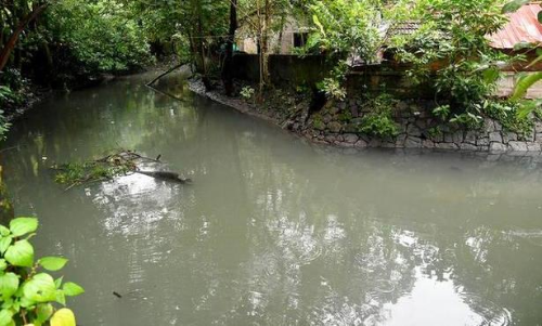 മുല്ലശ്ശേരി കനാൽ നവീകരണം ൈവകുമോ ? സാങ്കേതികാനുമതി കുരുക്കാവരുതെന്ന് ഹൈക്കോടതി മുല്ലശ്ശേരി കനാൽ നവീകരണം ൈവകുമോ ? സാങ്കേതികാനുമതി കുരുക്കാവരുതെന്ന് ഹൈക്കോടതി