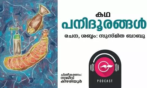 പനിദൂരങ്ങൾ -കഥ