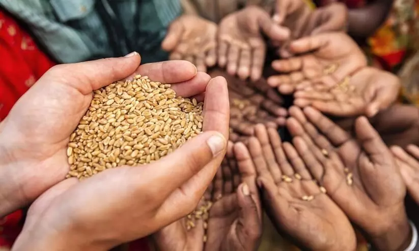 Hand with food grains
