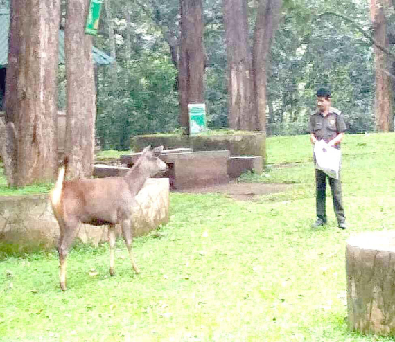 ആ വിളി ഇനിയില്ല; കാടിെൻറ മക്കളെ തനിച്ചാക്കി മമ്മൂട്ടി യാത്രയായി ആ വിളി ഇനിയില്ല; കാടിെൻറ മക്കളെ തനിച്ചാക്കി മമ്മൂട്ടി യാത്രയായി