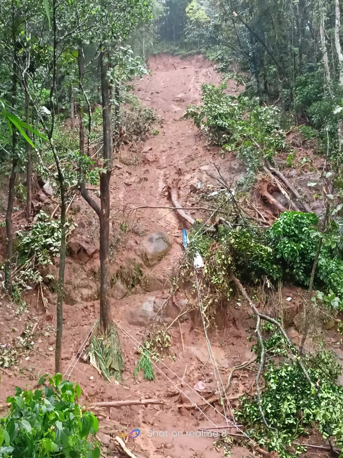കോട്ടയം കൂട്ടിക്കൽ ഇളങ്കാട് മേഖലയിലുണ്ടായ... ... ദുരിതപ്പെയ്ത്ത്; സംസ്ഥാനത്ത്​ അഞ്ച്​ മരണം; ഇടുക്കിയിൽ ഏഴ് പേർ മണ്ണിനടിയിൽ; കൂട്ടിക്കലിൽ തെരച്ചിൽ തുടരുന്നു