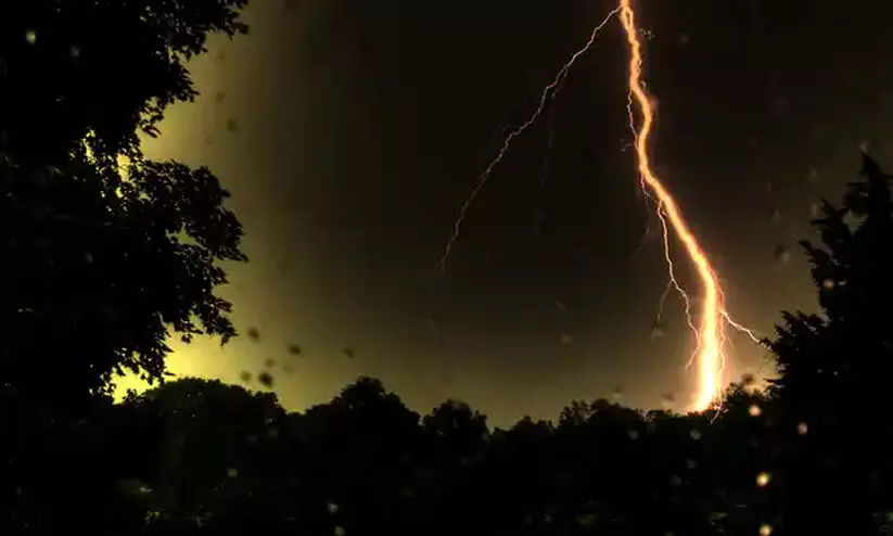 മിന്നലേറ്റ് പശു ചത്തു