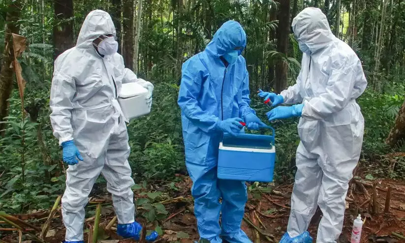 ഇരട്ട നിരീക്ഷണകാലം പൂർത്തിയായി; കോഴിക്കോട് നിപ മുക്തം ഇരട്ട നിരീക്ഷണകാലം പൂർത്തിയായി; കോഴിക്കോട് നിപ മുക്തം