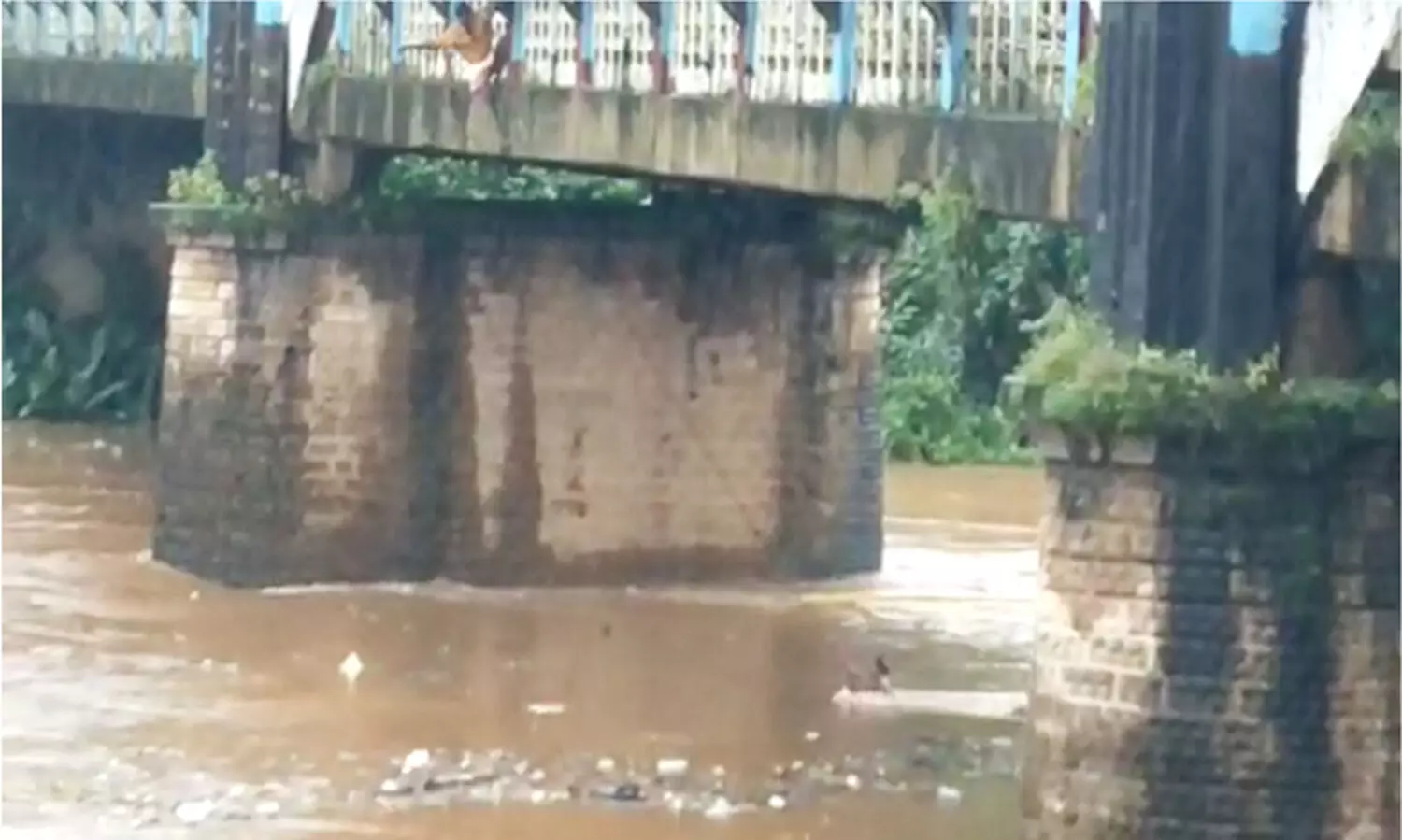 മണിമലയാറ്റിലൂടെ ഒഴുകി യുവാക്കൾ; പാലത്തിൽ നിന്ന് കയറിട്ടു നൽകി രക്ഷാപ്രവർത്തനം -വിഡിയോ