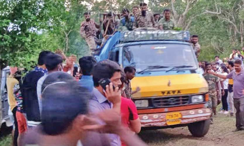 ഒടുവിൽ കൂട്ടിൽ; നീലഗിരിയിൽ കടുവയെ ജീവനോടെ പിടികൂടുന്നത് ഇതാദ്യം