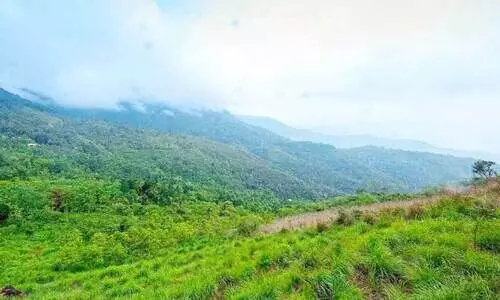 ഇക്കോ ടൂറിസത്തിനൊരുങ്ങി ഏലപ്പീടിക