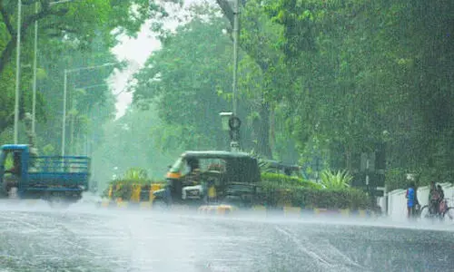 മഴക്ക് ശമനം; നി​ല​മ്പൂ​രി​ൽ 53.8 മി​ല്ലീ​മീ​റ്റ​ർ മ​ഴ
