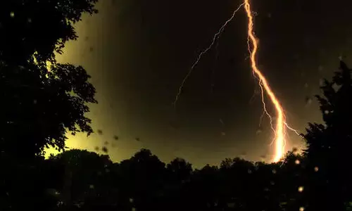 മിന്നലേറ്റ് പശു ചത്തു