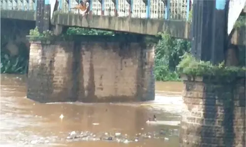 മണിമലയാറ്റിലൂടെ ഒഴുകി യുവാക്കൾ; പാലത്തിൽ നിന്ന് കയറിട്ടു നൽകി രക്ഷാപ്രവർത്തനം -വിഡിയോ