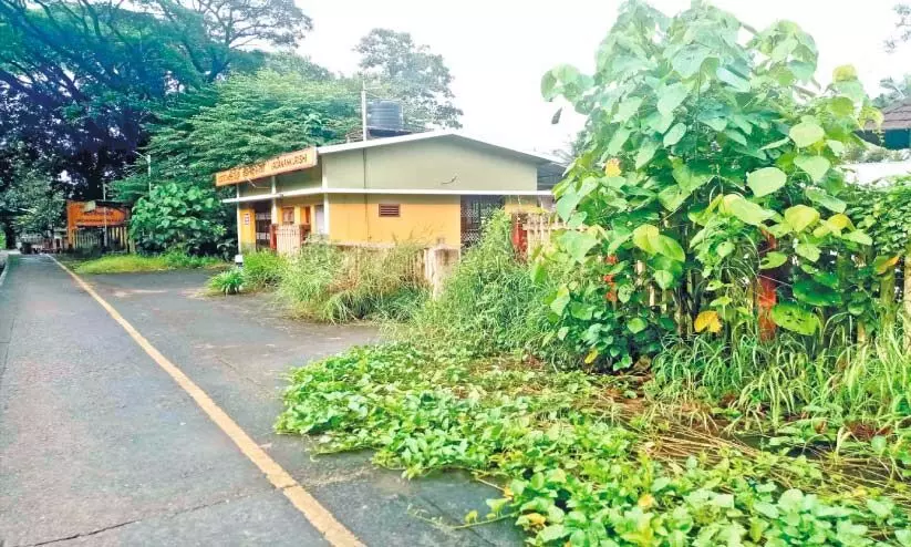 ഷൊർണൂർ^ നിലമ്പൂർ റൂട്ടിൽ പാസഞ്ചർ ട്രെയിൻ സർവിസ് നിലച്ചിട്ട് ഒന്നര വർഷം ഷൊർണൂർ^ നിലമ്പൂർ റൂട്ടിൽ പാസഞ്ചർ ട്രെയിൻ സർവിസ് നിലച്ചിട്ട് ഒന്നര വർഷം