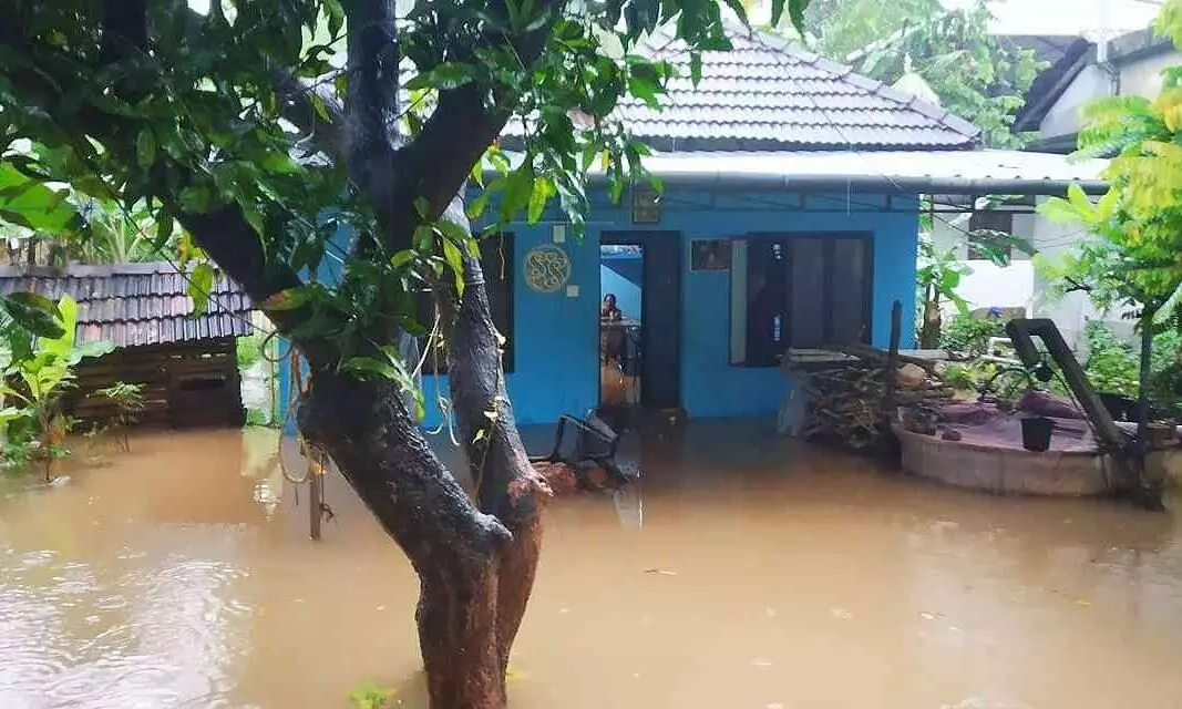 മണലി പുഴ കരകവിഞ്ഞു; നിരവധി വീടുകളിൽ വെള്ളം കയറി