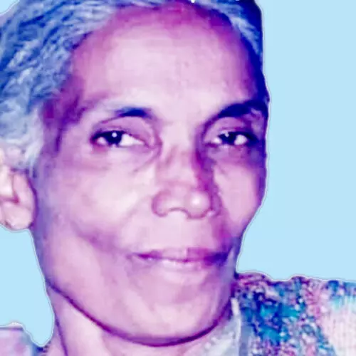 ലി​ല്ലി