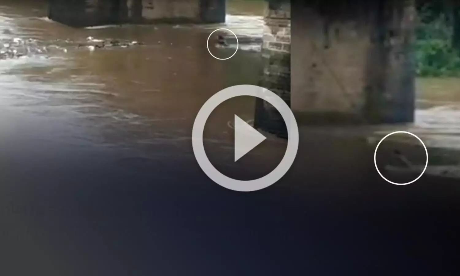 മണിമലയാറ്റിലൂടെ ഒഴുകി യുവാവ്; പാലത്തിൽ നിന്ന് കയറിട്ടു നൽകി രക്ഷാപ്രവർത്തനം