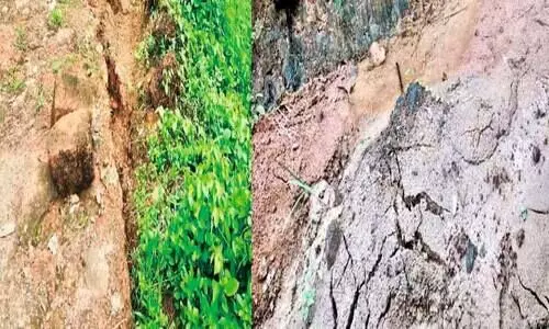 വീ​ട്ടു​വ​ള​പ്പി​ലു​ണ്ടാ​യ വി​ള്ള​ല്‍ കൂ​ടി​വ​രു​മ്പോ​ഴും അ​ധി​കൃ​ത​രു​ടെ ഭാ​ഗ​ത്തു​നി​ന്ന് ന​ട​പ​ടി​ക​ളൊ​ന്നു​മു​ണ്ടാ​യി​ല്ലെ​ന്ന്