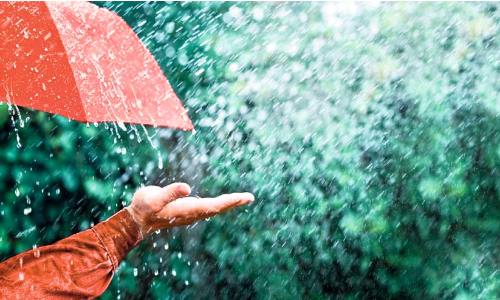 മഴ: അടിയന്തര സാഹചര്യം നേരിടാന്‍ മലപ്പുറം ജില്ല സജ്ജം