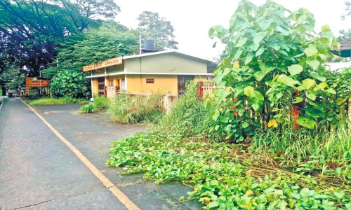 ഷൊർണൂർ^ നിലമ്പൂർ റൂട്ടിൽ പാസഞ്ചർ ട്രെയിൻ സർവിസ് നിലച്ചിട്ട് ഒന്നര വർഷം