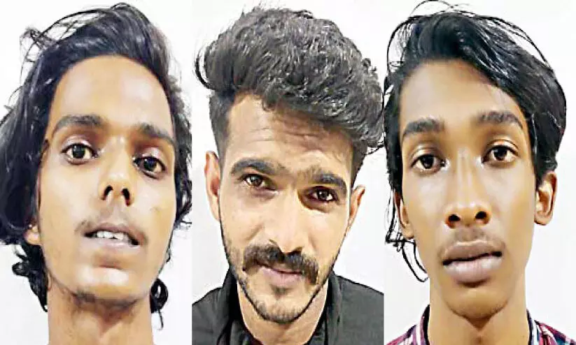 naveen, mejo, mosas naveen, mejo, mosas