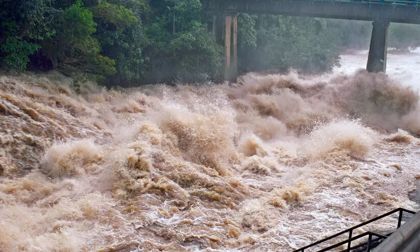 മഴക്കെടുതി: വീണ്ടും സ്റ്റോക്കെടുക്കാൻ നിർബന്ധിക്കരുതെന്ന് റേഷൻ വ്യാപാരികൾ മഴക്കെടുതി: വീണ്ടും സ്റ്റോക്കെടുക്കാൻ നിർബന്ധിക്കരുതെന്ന് റേഷൻ വ്യാപാരികൾ