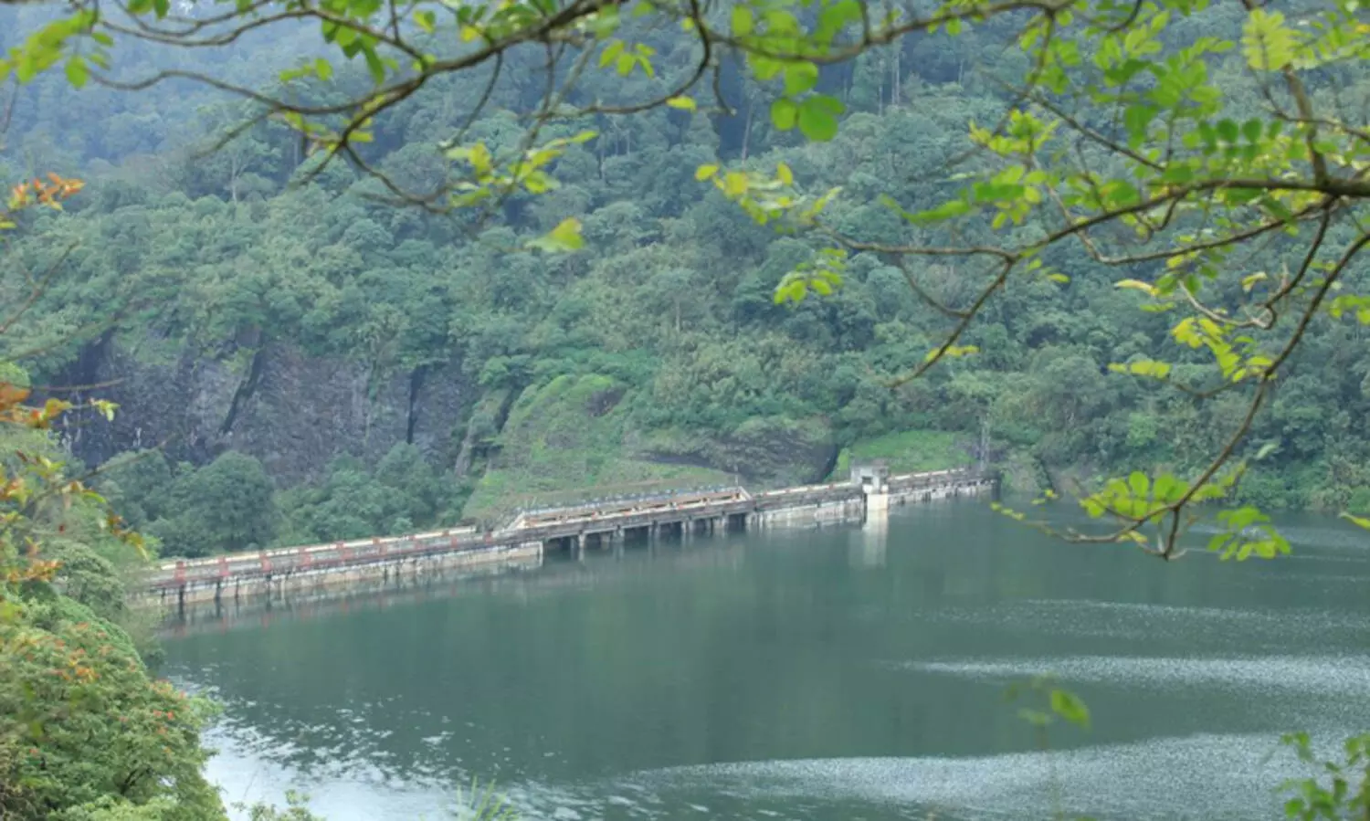 പമ്പ പുലർച്ചെ തുറക്കും; കാക്കി ഡാം തുറന്നു